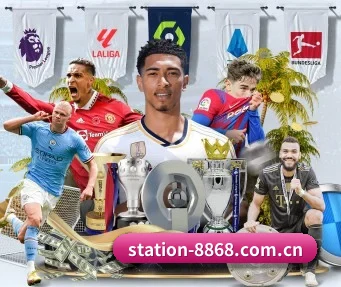8868体育APP APP(8868 SPORTS)