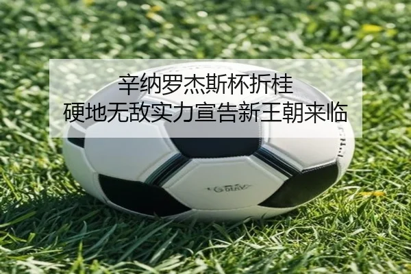 辛纳罗杰斯杯折桂 硬地无敌实力宣告新王朝来临