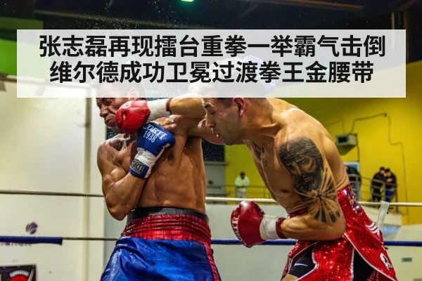 张志磊再现擂台重拳一举霸气击倒维尔德成功卫冕过渡拳王金腰带