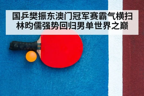 table tennis racket close up