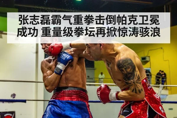 张志磊霸气重拳击倒帕克卫冕成功 重量级拳坛再掀惊涛骇浪